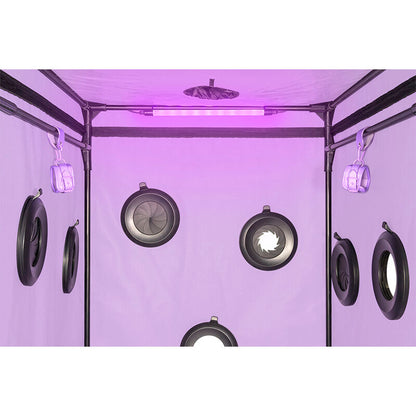 SECRET DOME - KINK CLUB CABIN SCANDALE VIOLA